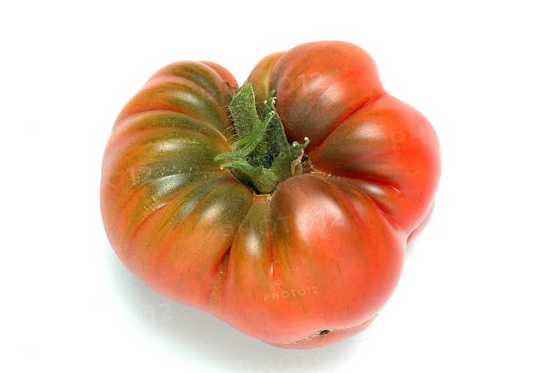 Ripe tomato of the Cuore di bue variety, oxheart tomato