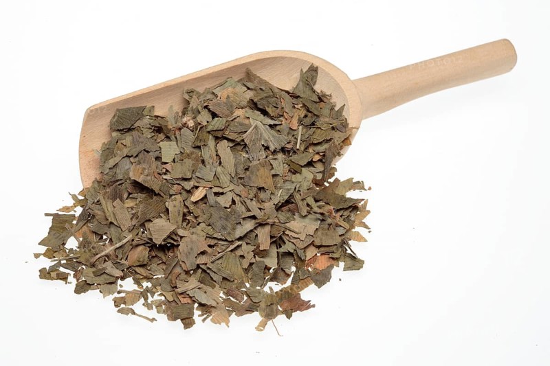 Dried ginkgo,