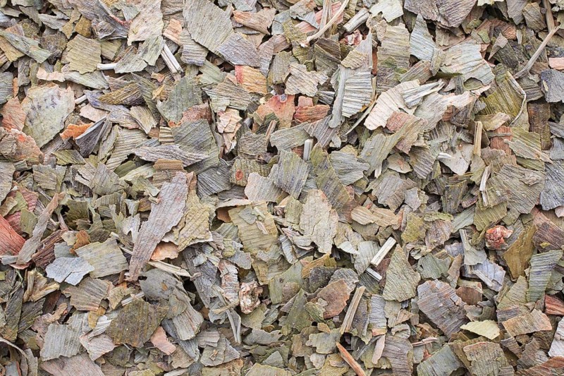 Dried ginkgo,