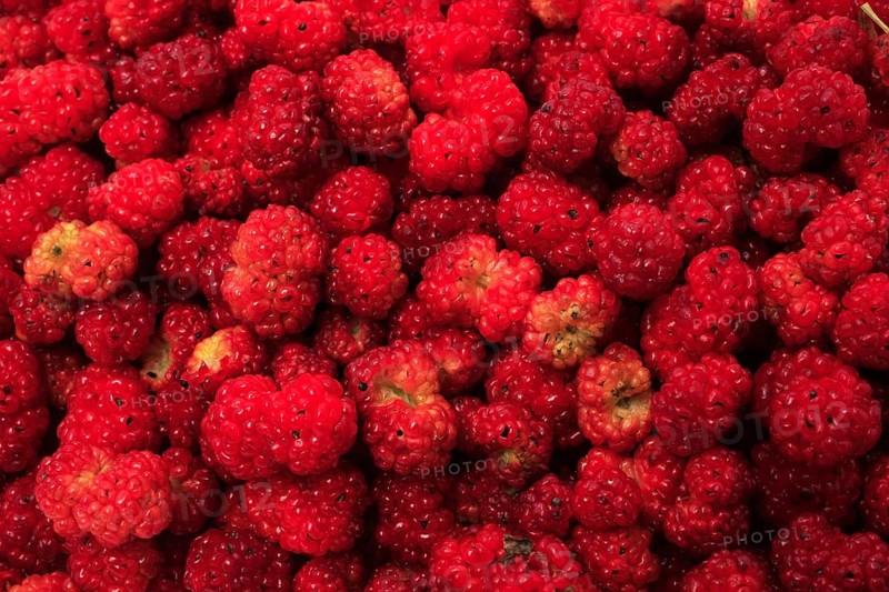 The spiked strawberry spinach,