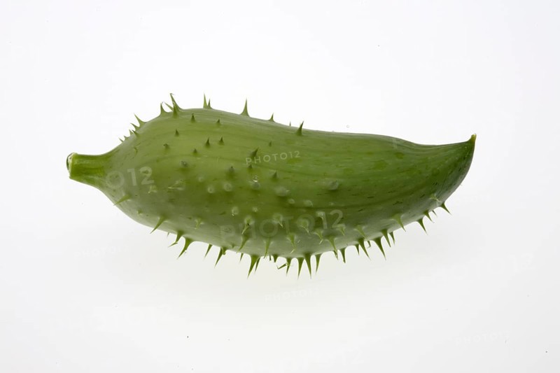 Caigua,