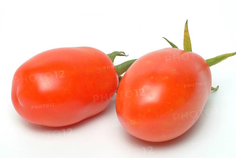 Ripe tomatoes of the variety San Marzano tomatoes, Pomodoro San Marzano dell'Agro Sarnese Nocerino