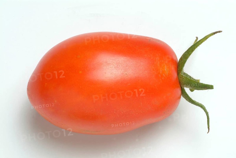 Ripe tomatoes of the variety San Marzano tomatoes, Pomodoro San Marzano dell'Agro Sarnese Nocerino