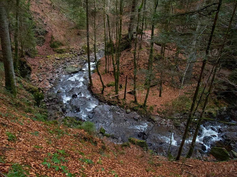 Ravennabach, Ravennaschlucht