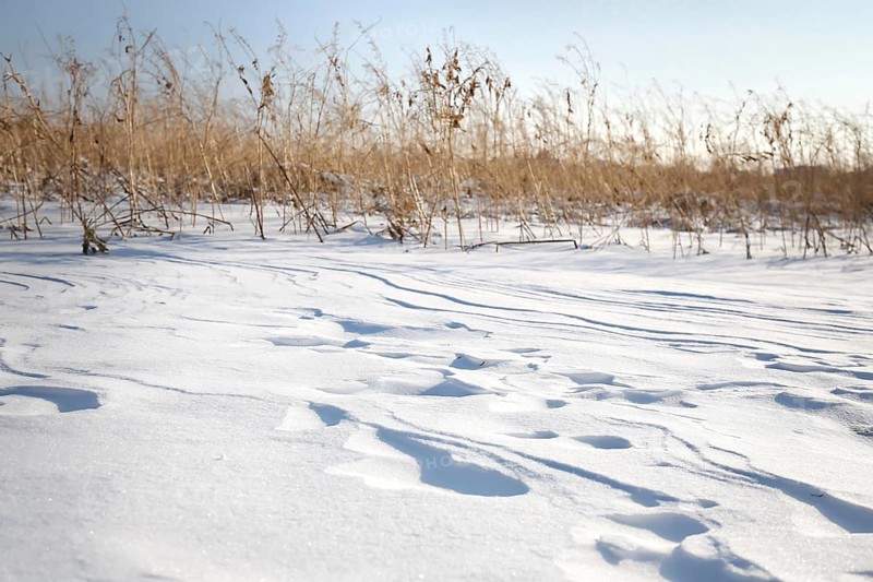 Snow drifts caused by wind from powder snow look like dunes and form bizarre patterns and structures,