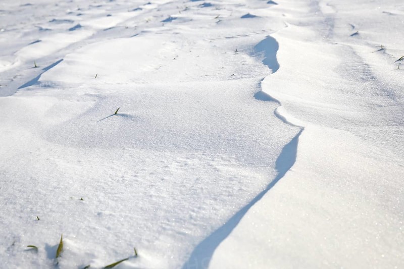 Snow drifts caused by wind from powder snow look like dunes and form bizarre patterns and structures,