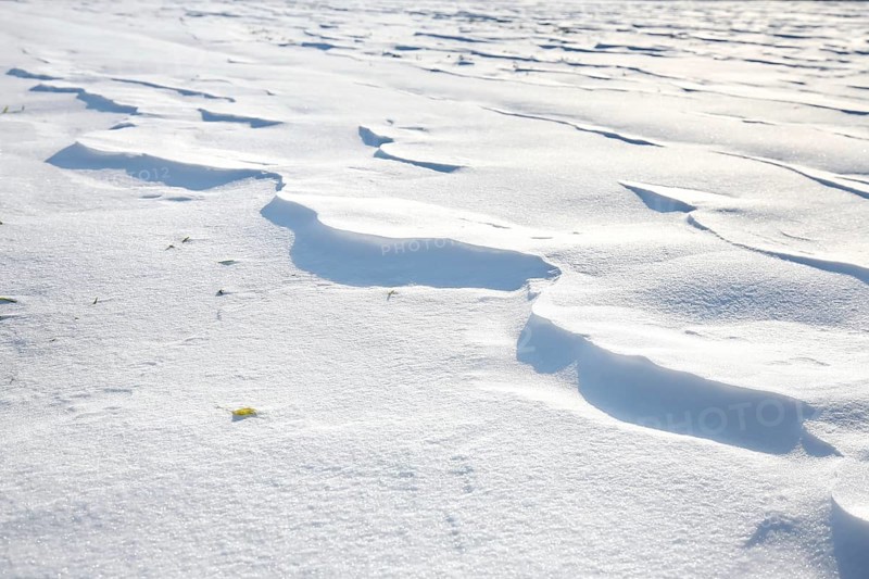 Snow drifts caused by wind from powder snow look like dunes and form bizarre patterns and structures,