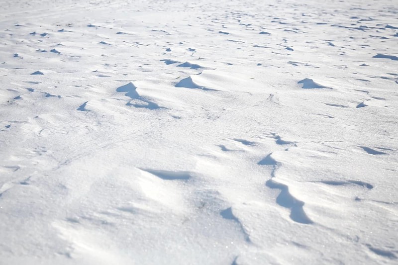 Snow drifts caused by wind from powder snow look like dunes and form bizarre patterns and structures,