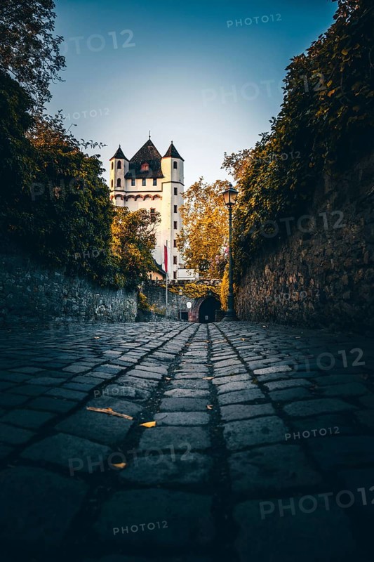 Electoral castle on the banks of the Rhine, Eltville am Rhein
