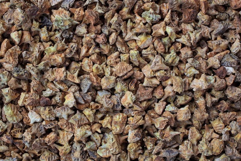 Medicinal plants: Earth spikenard, Tribulus fructus