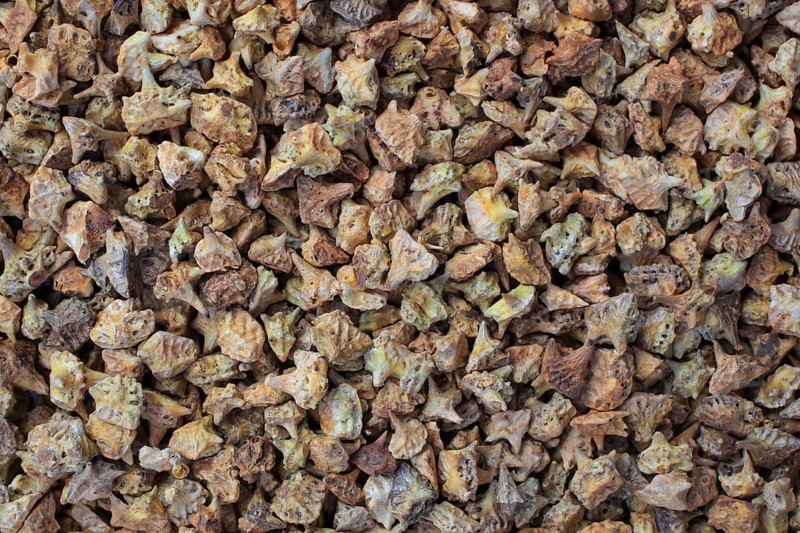 Medicinal plants: Earth spikenard, Tribulus fructus