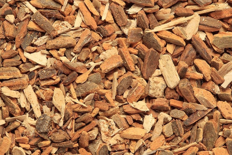 Angostura bark, Galipea officinalis febrifuga