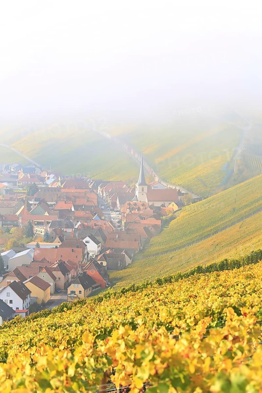 Rising fog in the vineyard near Volkach with a view of Nordheim am Main. Volkach, Kitzingen