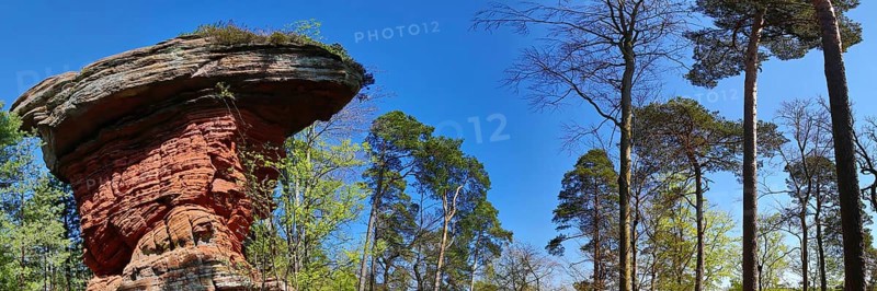 The Devil's Table at the Old Castle Rocks near Eppenbrunn. Eppenbrunn, Pirmasens-Land