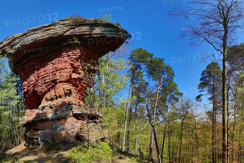 The Devil's Table at the Old Castle Rocks near Eppenbrunn. Eppenbrunn, Pirmasens-Land