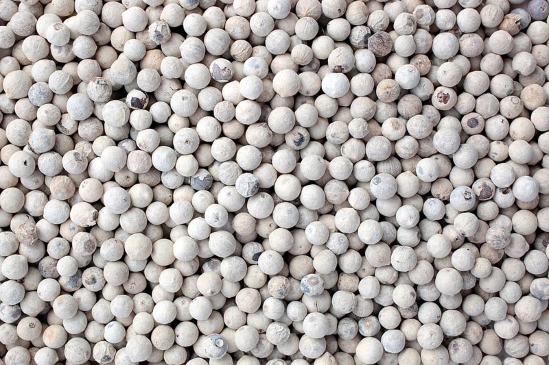 White pepper, ripe pepper freed from the husk
