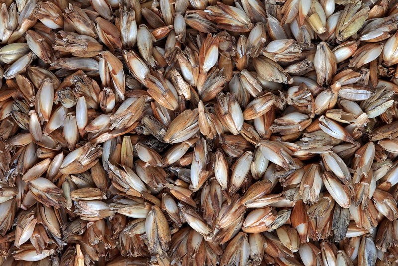 Spelt husks, spelt husks. Spelt husk is probably one of the best-known natural fillings for pillows