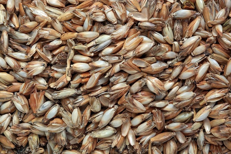 Spelt husks, spelt husks. Spelt husk is probably one of the best-known natural fillings for pillows