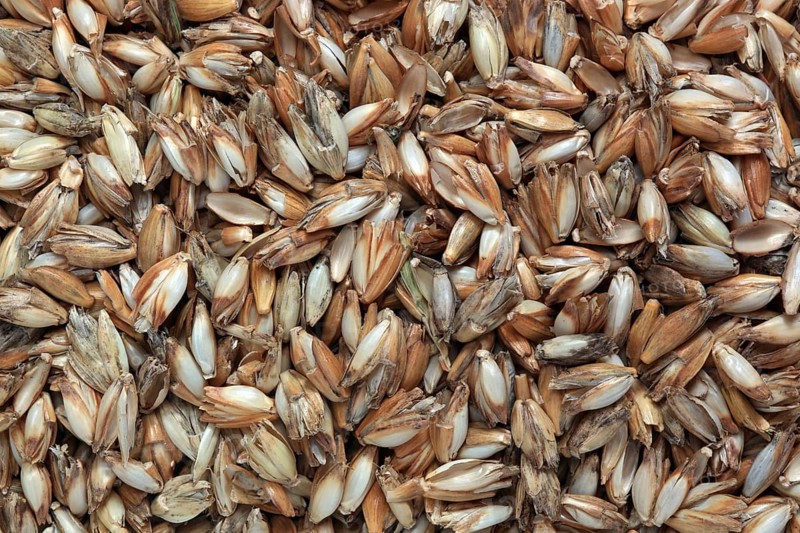 Spelt husks, spelt husks. Spelt husk is probably one of the best-known natural fillings for pillows