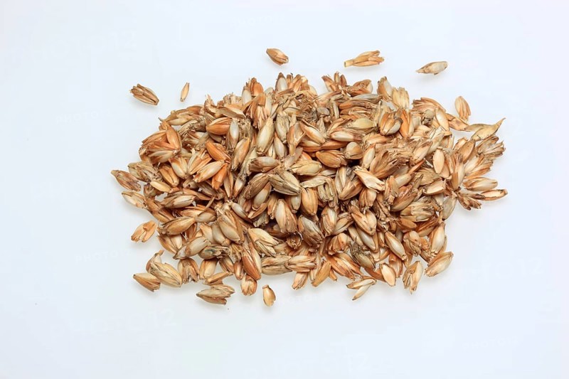Spelt husks, spelt husks. Spelt husk is probably one of the best-known natural fillings for pillows