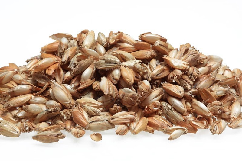 Spelt husks, spelt husks. Spelt husk is probably one of the best-known natural fillings for pillows