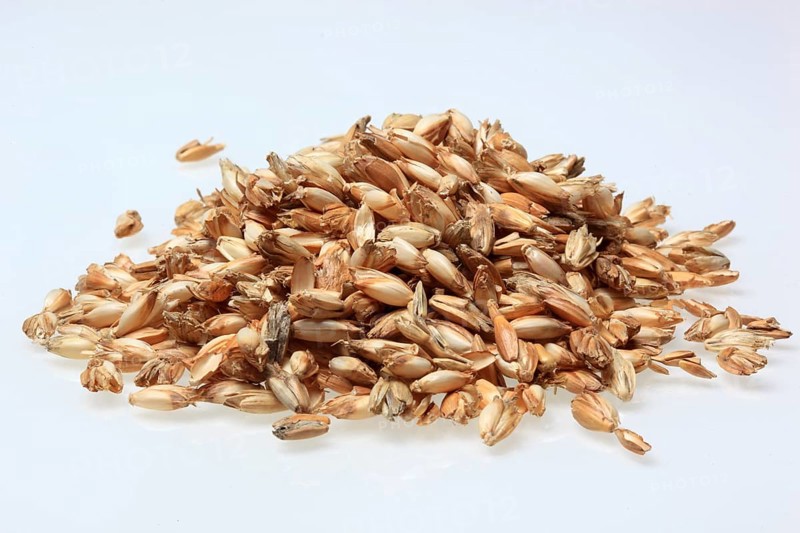 Spelt husks, spelt husks. Spelt husk is probably one of the best-known natural fillings for pillows