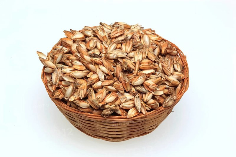 Spelt husks, spelt husks. Spelt husk is probably one of the best-known natural fillings for pillows