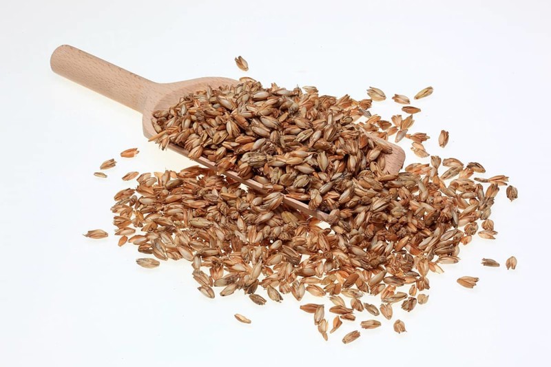 Spelt husks, spelt husks. Spelt husk is probably one of the best-known natural fillings for pillows