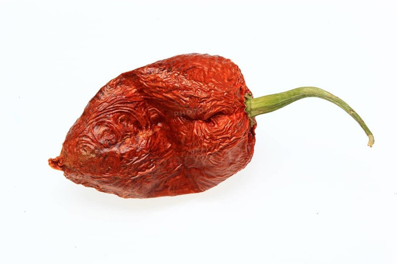 Dried chilli of the Bhut-Jolokia or Naga-Jolokia variety, a cultivated form of the pepper