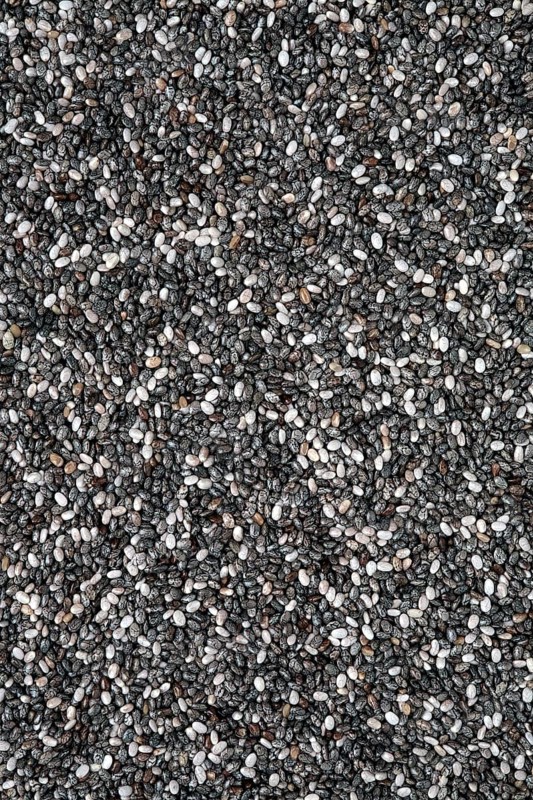 Mexican Chia, sage