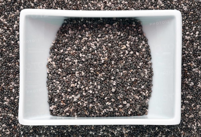 Mexican Chia, sage