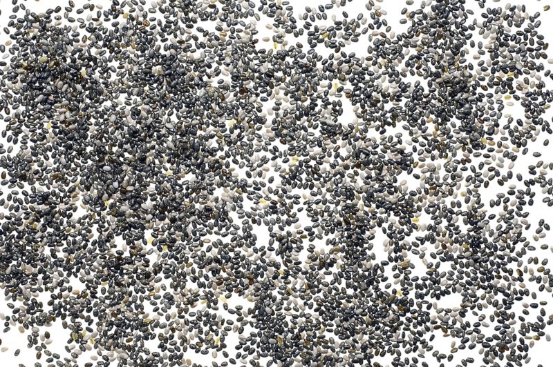 Mexican Chia, sage