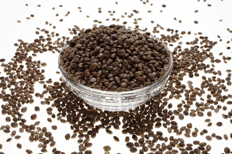 Hemp seeds or hemp nuts, Canabis sativa