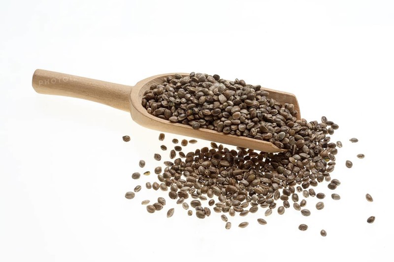 Hemp seeds or hemp nuts, Canabis sativa