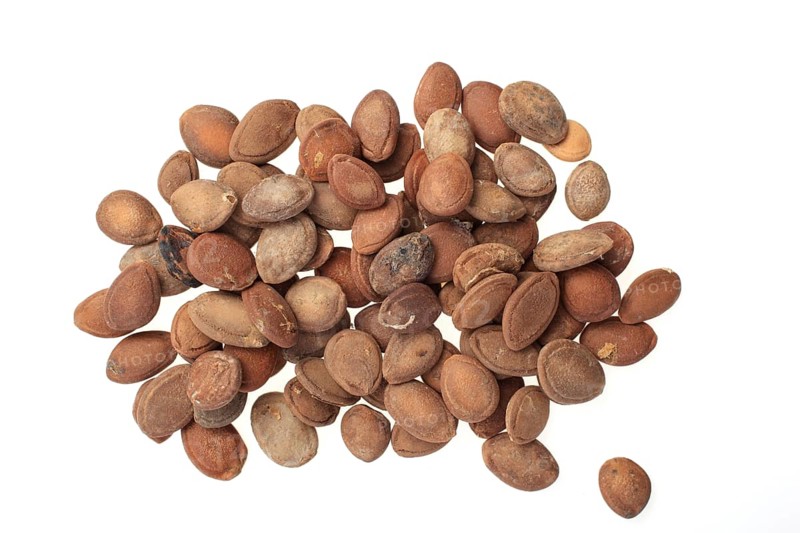 Medicinal plant hair flower, hair flower seeds