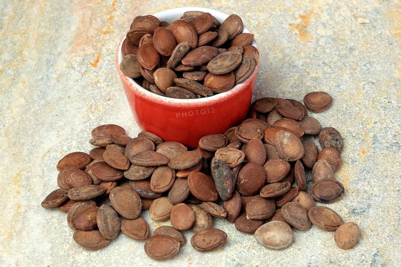 Medicinal plant hair flower, hair flower seeds