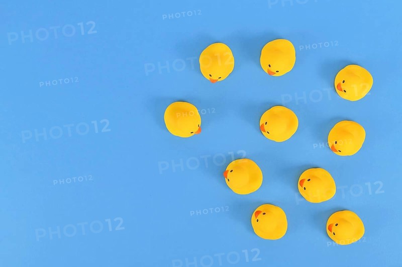 Top view of many yellow rubber ducks on blue background with copy space,