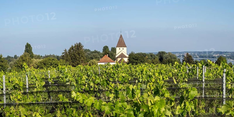 Vineyard and Catholic Parish Church of St. George, a late Carolingian and Ottonian church building in Oberzell on the island of Reichenau