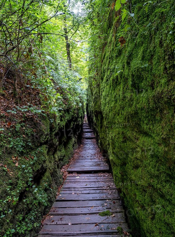 Drachenschlucht, a gorge near Eisenach in the Thuringian Forest in the nature reserve