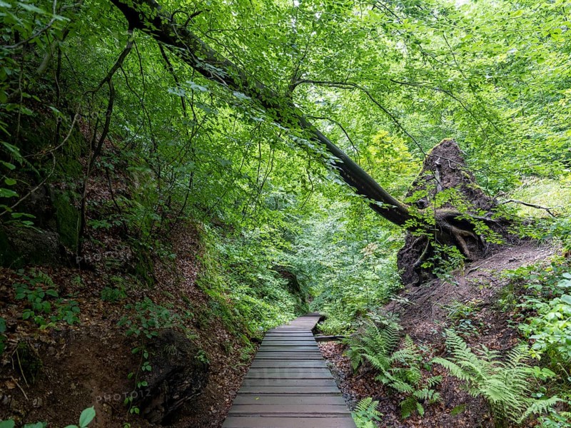 Drachenschlucht, a gorge near Eisenach in the Thuringian Forest in the nature reserve
