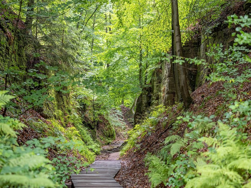 Drachenschlucht, a gorge near Eisenach in the Thuringian Forest in the nature reserve