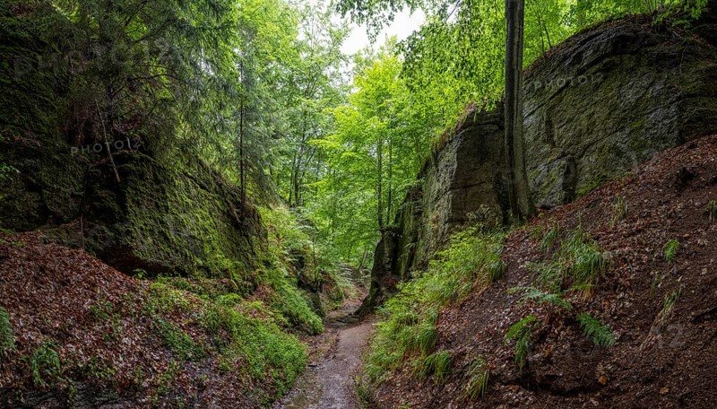 Drachenschlucht, a gorge near Eisenach in the Thuringian Forest in the nature reserve