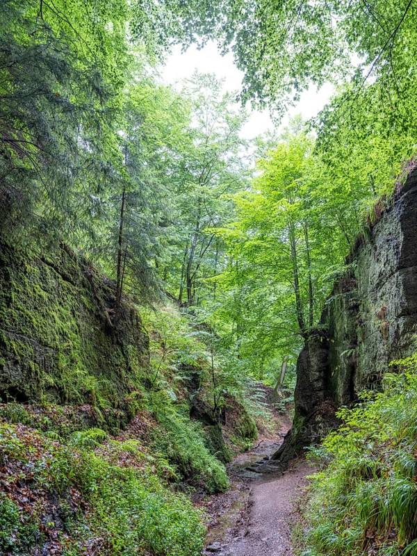 Drachenschlucht, a gorge near Eisenach in the Thuringian Forest in the nature reserve