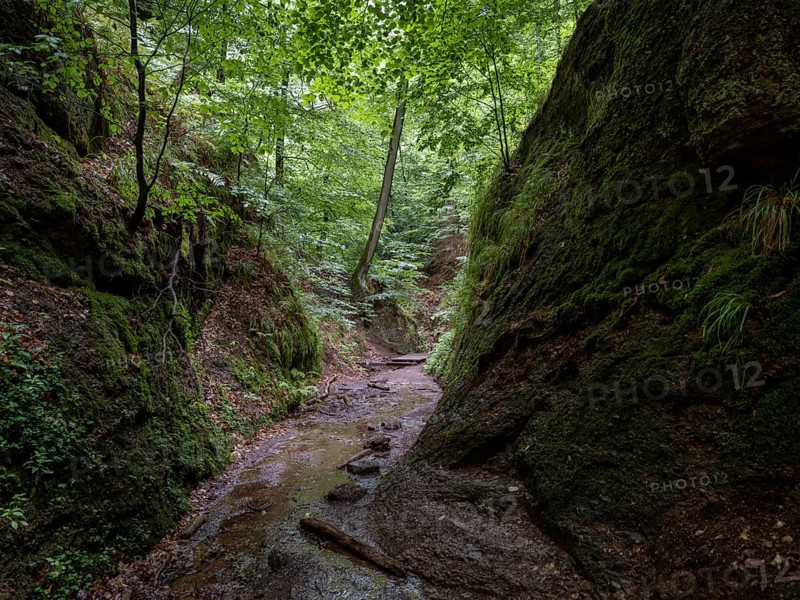 Drachenschlucht, a gorge near Eisenach in the Thuringian Forest in the nature reserve