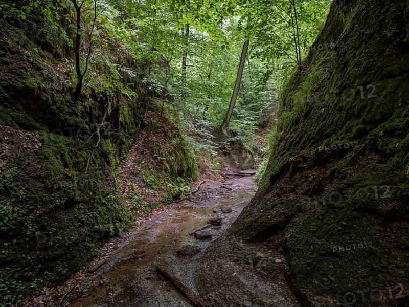 Drachenschlucht, a gorge near Eisenach in the Thuringian Forest in the nature reserve