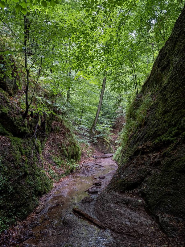 Drachenschlucht, a gorge near Eisenach in the Thuringian Forest in the nature reserve