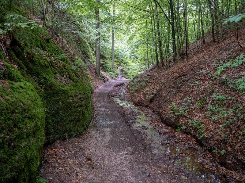 Drachenschlucht, a gorge near Eisenach in the Thuringian Forest in the nature reserve