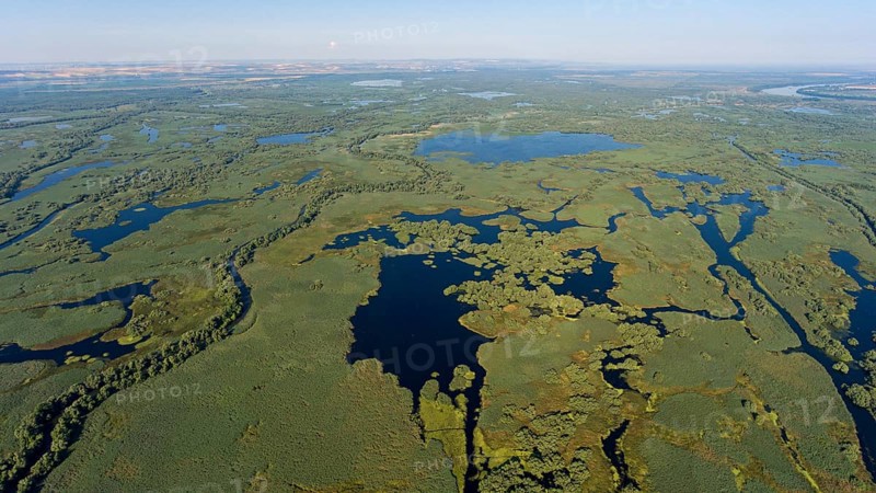 Danube River Delta, landscape with lakes