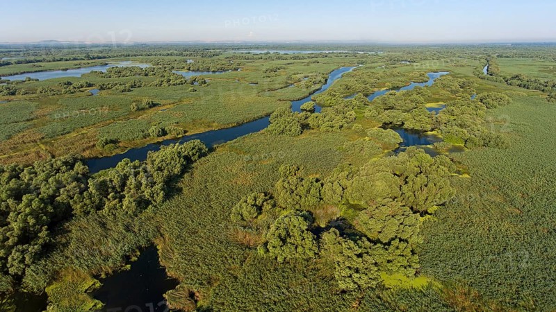 Danube River Delta, landscape with lakes