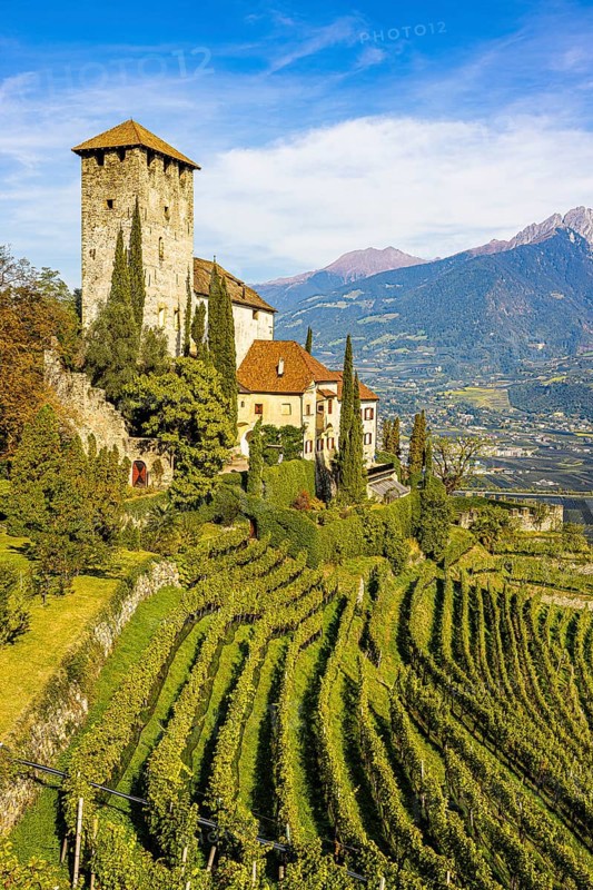 Lebenberg Castle above vineyards, near Cermes